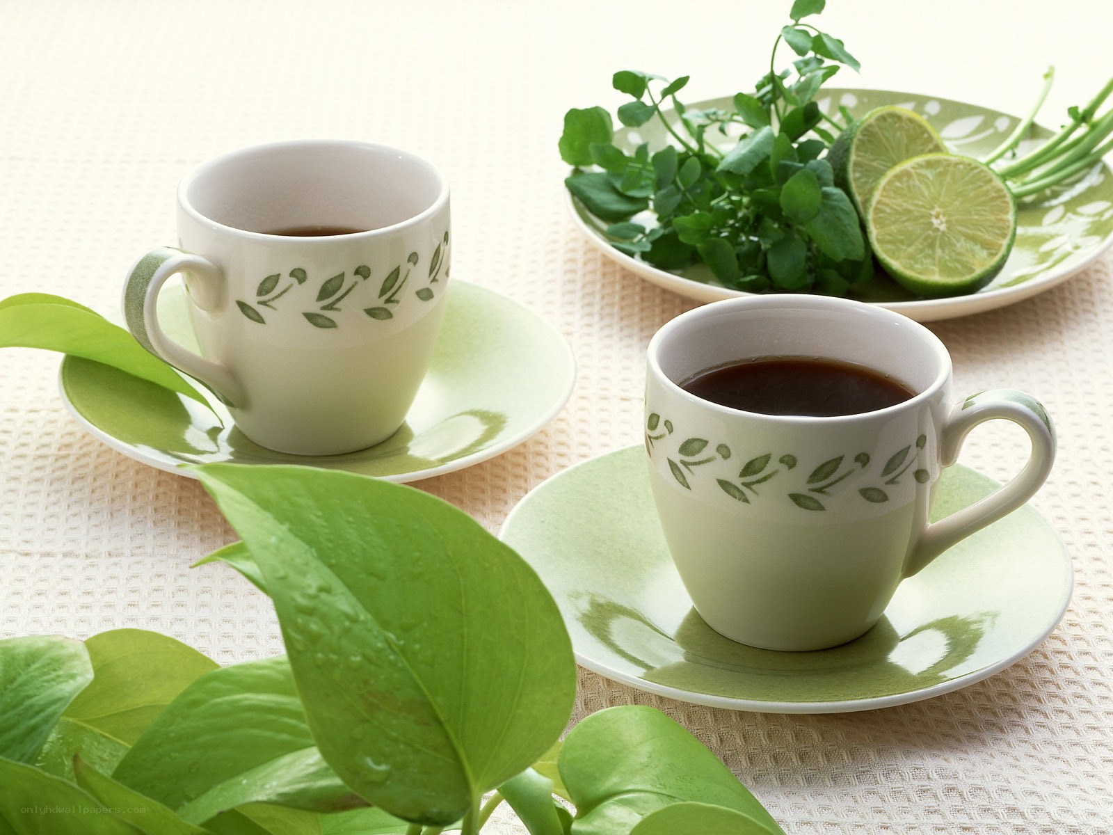 Green tea cups with lime and herbs