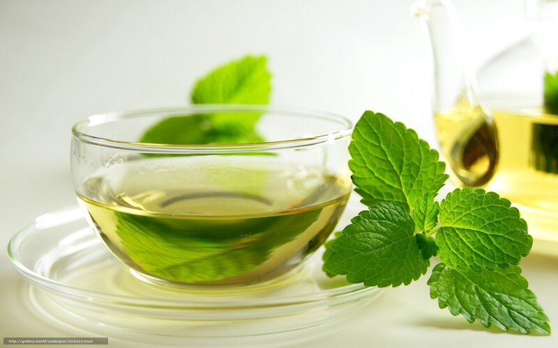 Green Tea in Glass Cup — Calm, Photograph, Mint Leaves