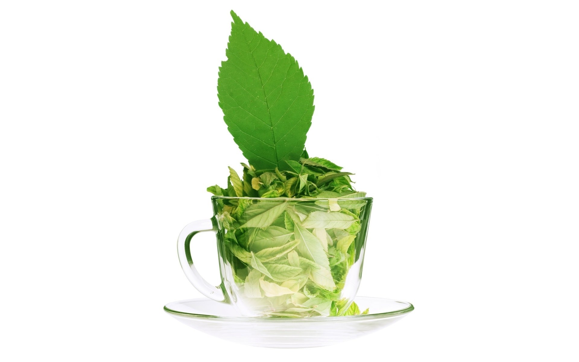 green tea leaves in a cup