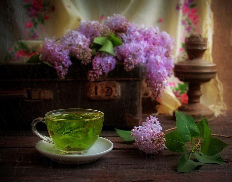 Green Tea with Lilacs