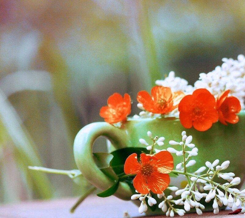 Green Teacup with Flowers