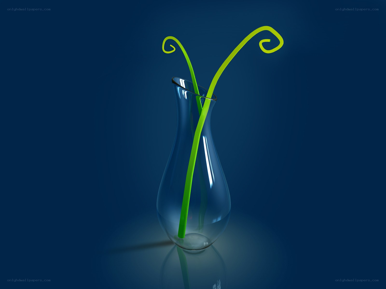 Green tendrils in a glass vase