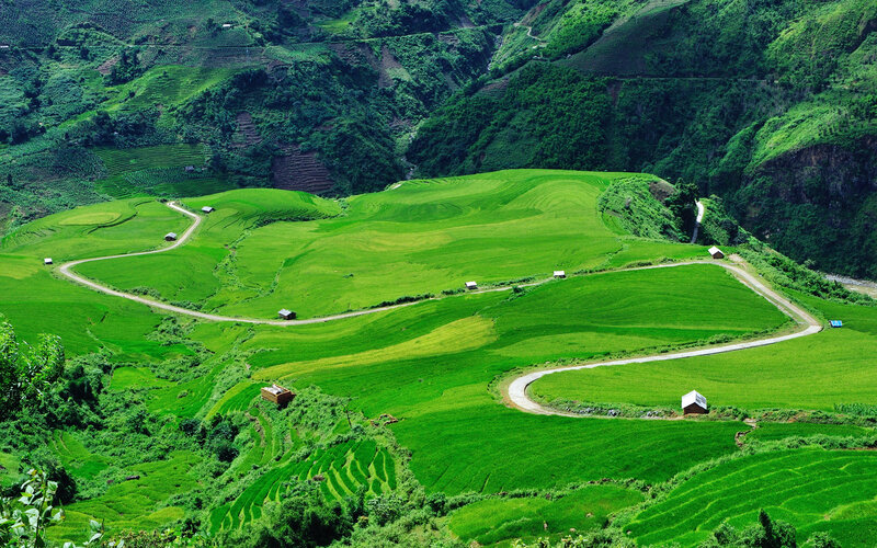 Green terraced fields in mountains