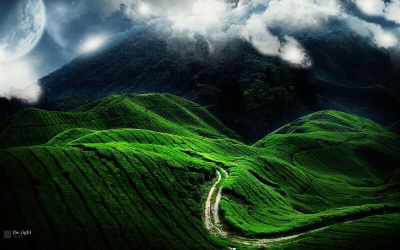 Green Terraced Hills — Dramatic