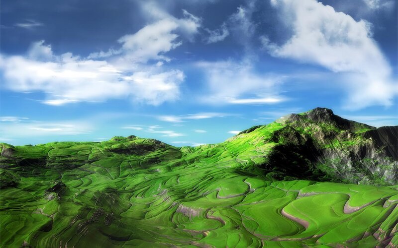Green Terraced Hills