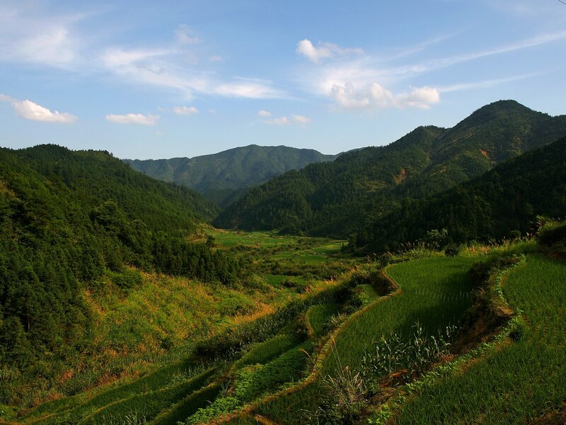 Green terraced hills under blue sky
