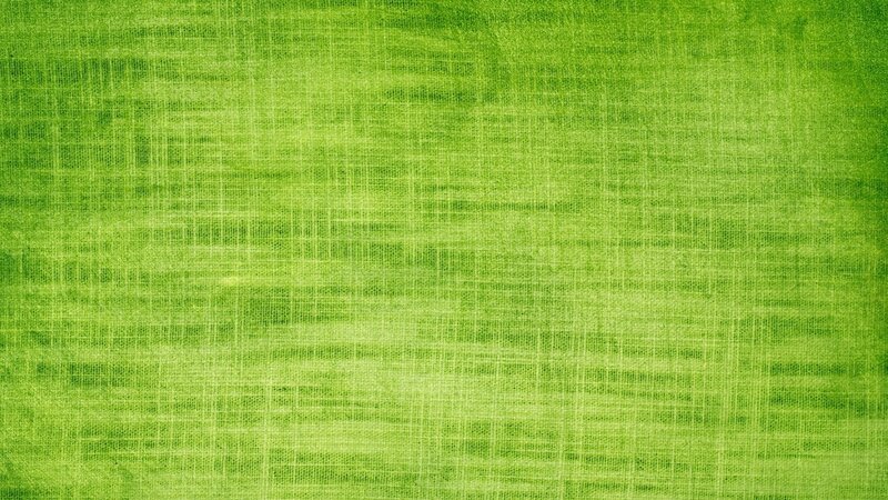 Green Textured Fabric — Neutral