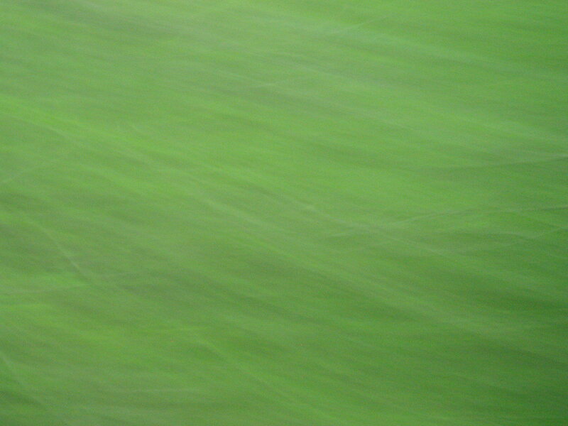 green textured surface