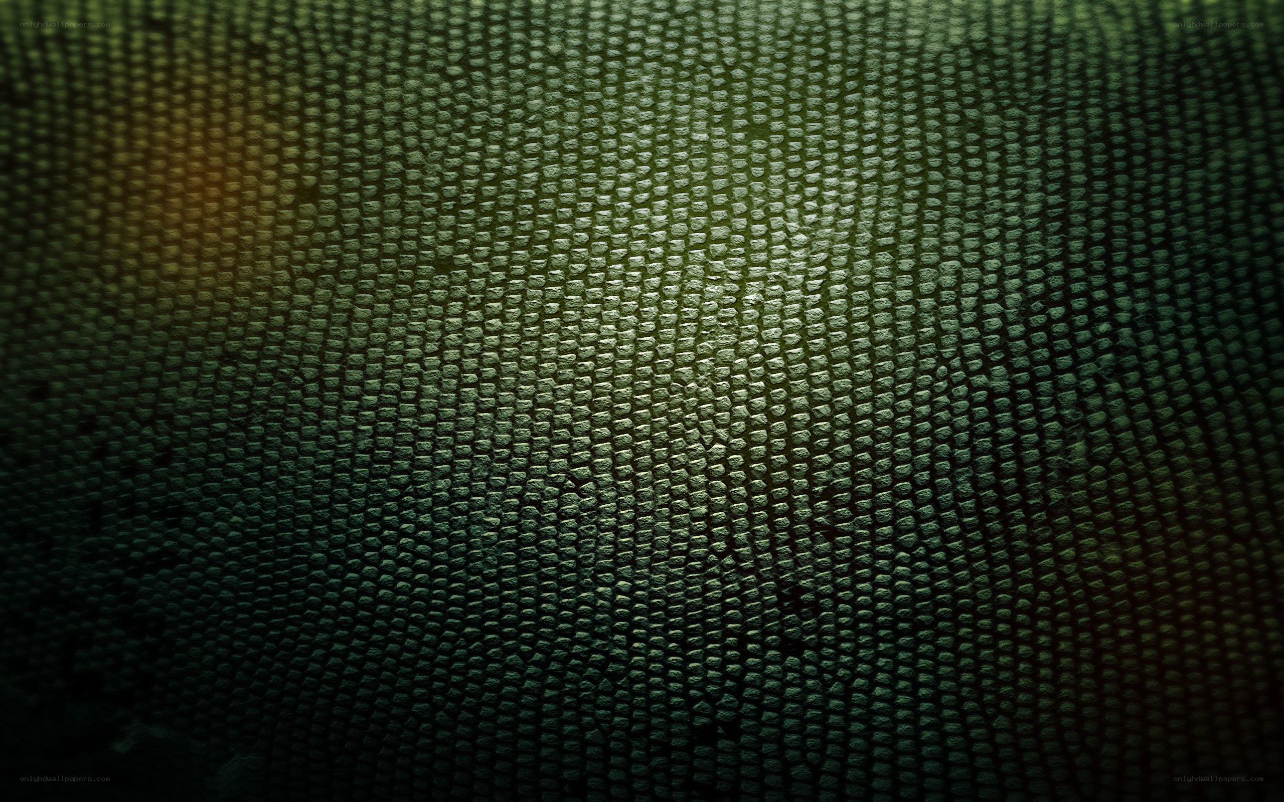 green textured surface