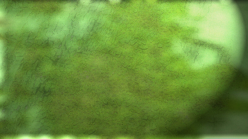 Green Textured Surface — Blurry
