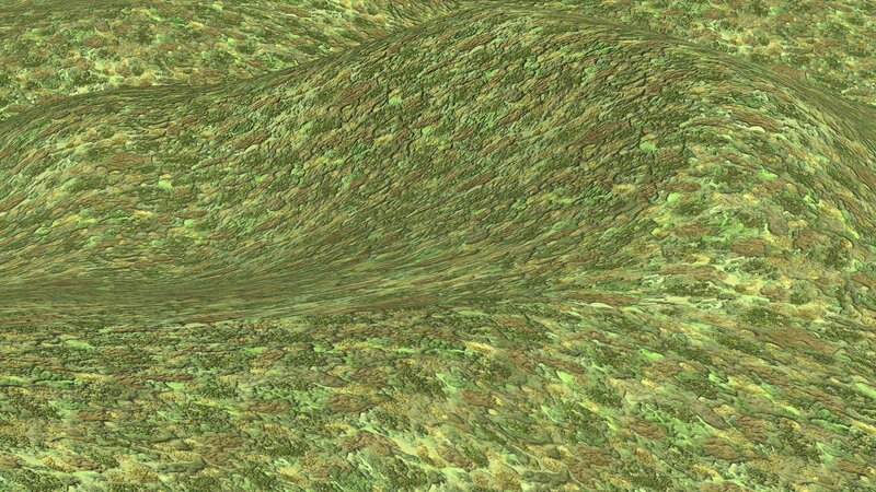 Green Textured Surface — Neutral