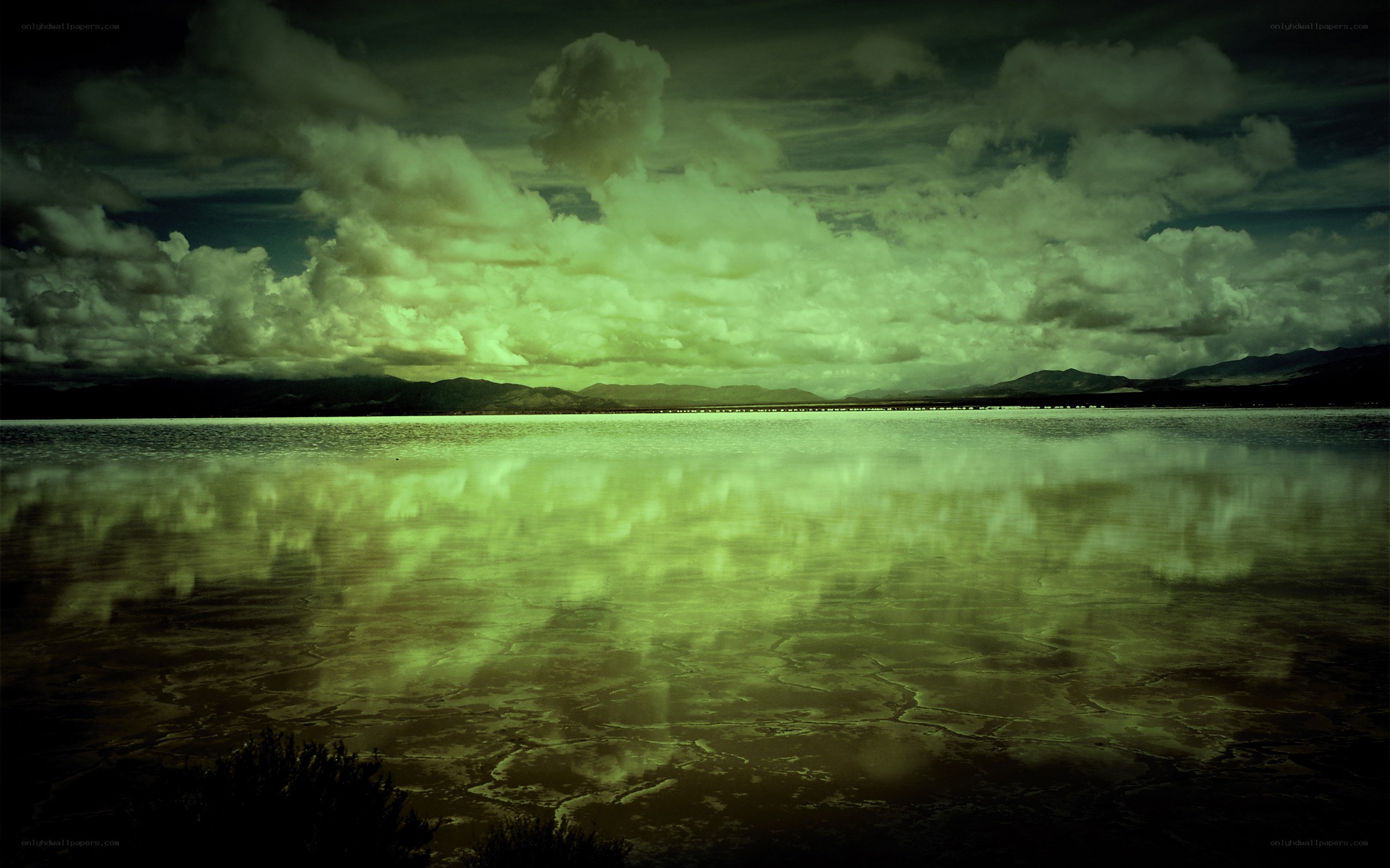 Green-tinted lake landscape