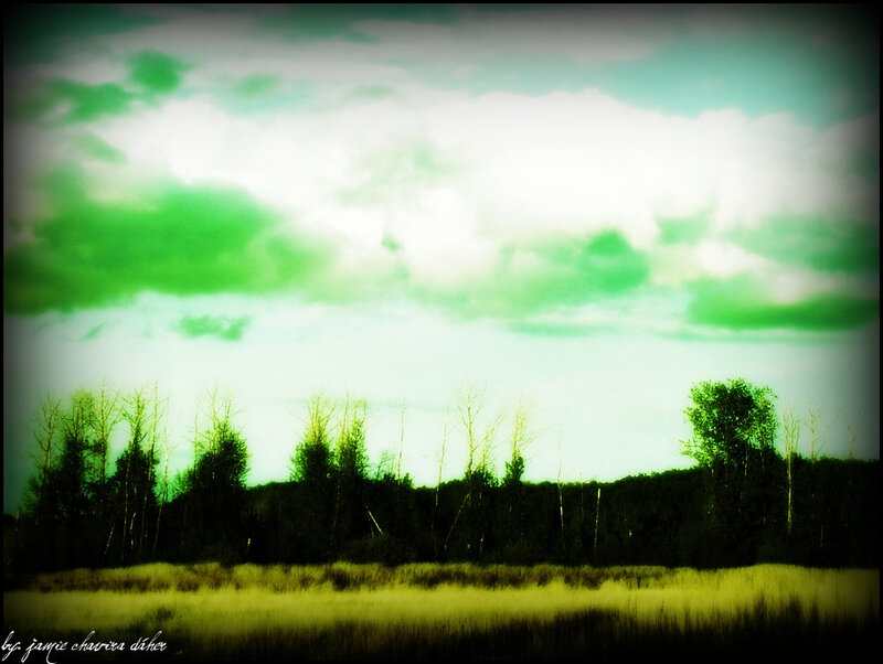 green-tinted landscape scene
