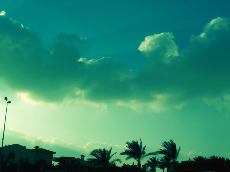 green-tinted sky with palm trees