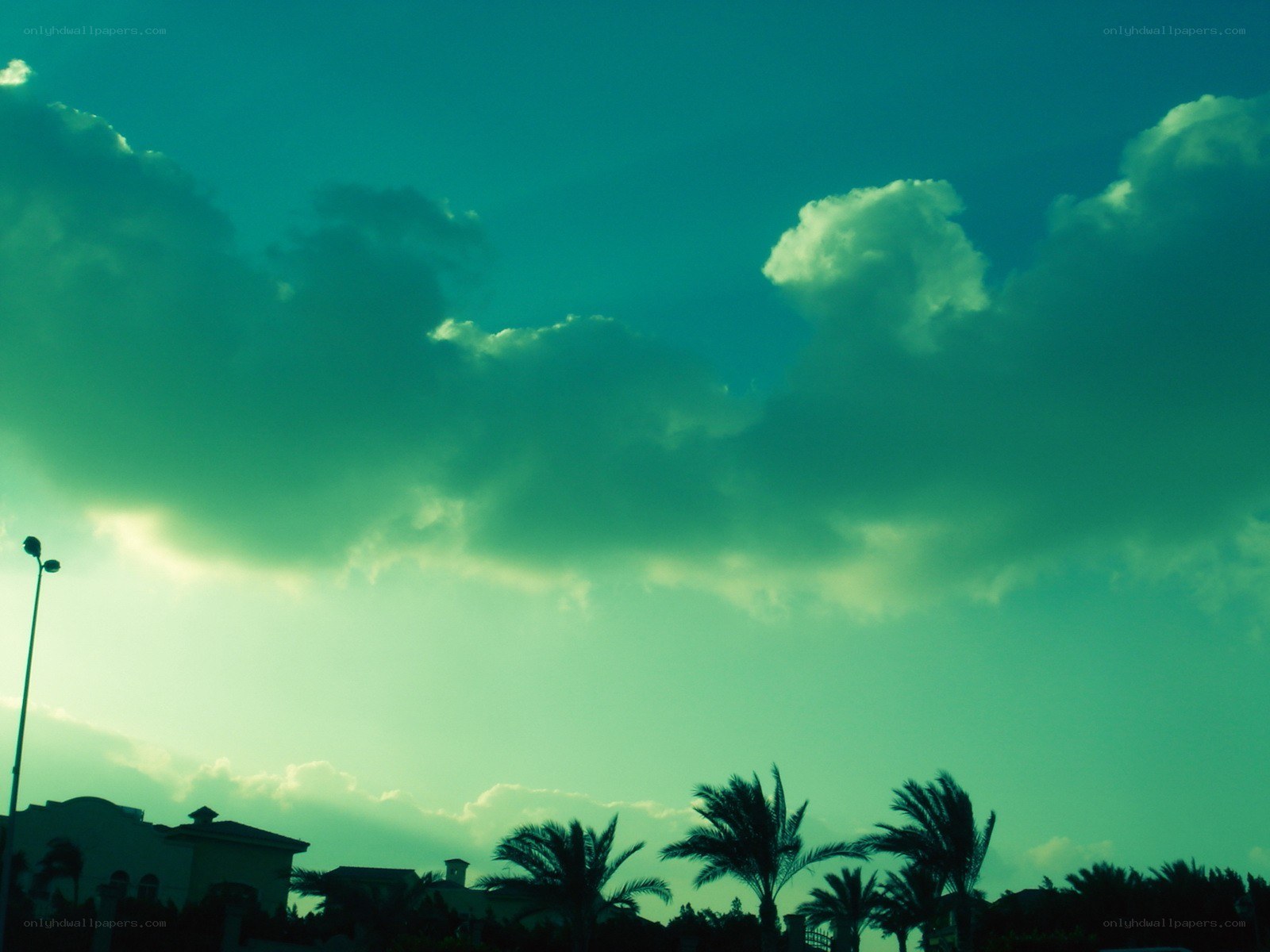 green-tinted sky with palm trees