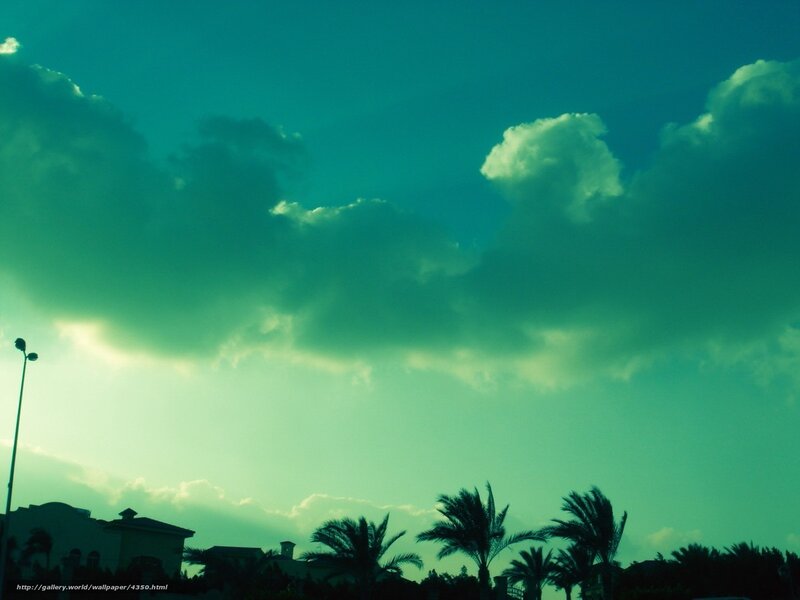 Green-tinted sky with palm trees