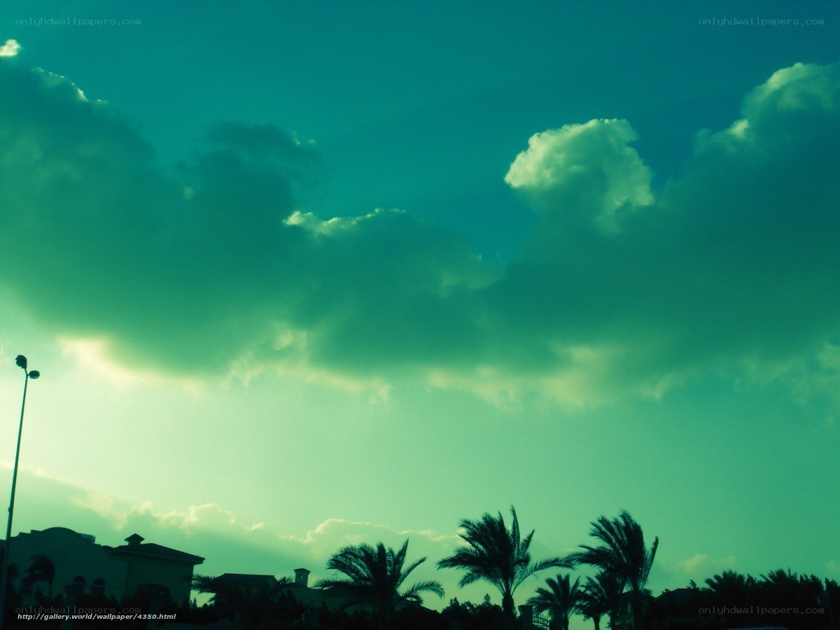 Green-tinted sky with palm trees