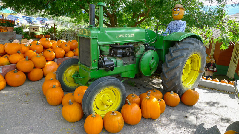 Green Tractor with Pumpkins