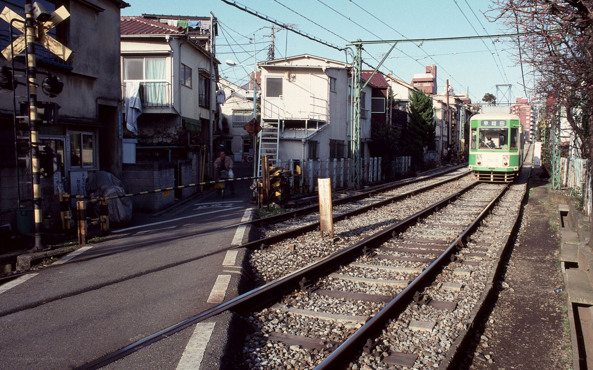 Green train at a level crossing