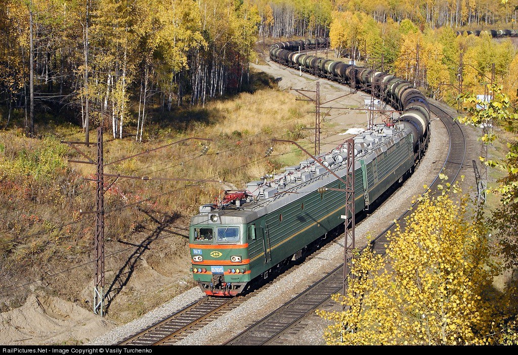 Green train in autumn forest