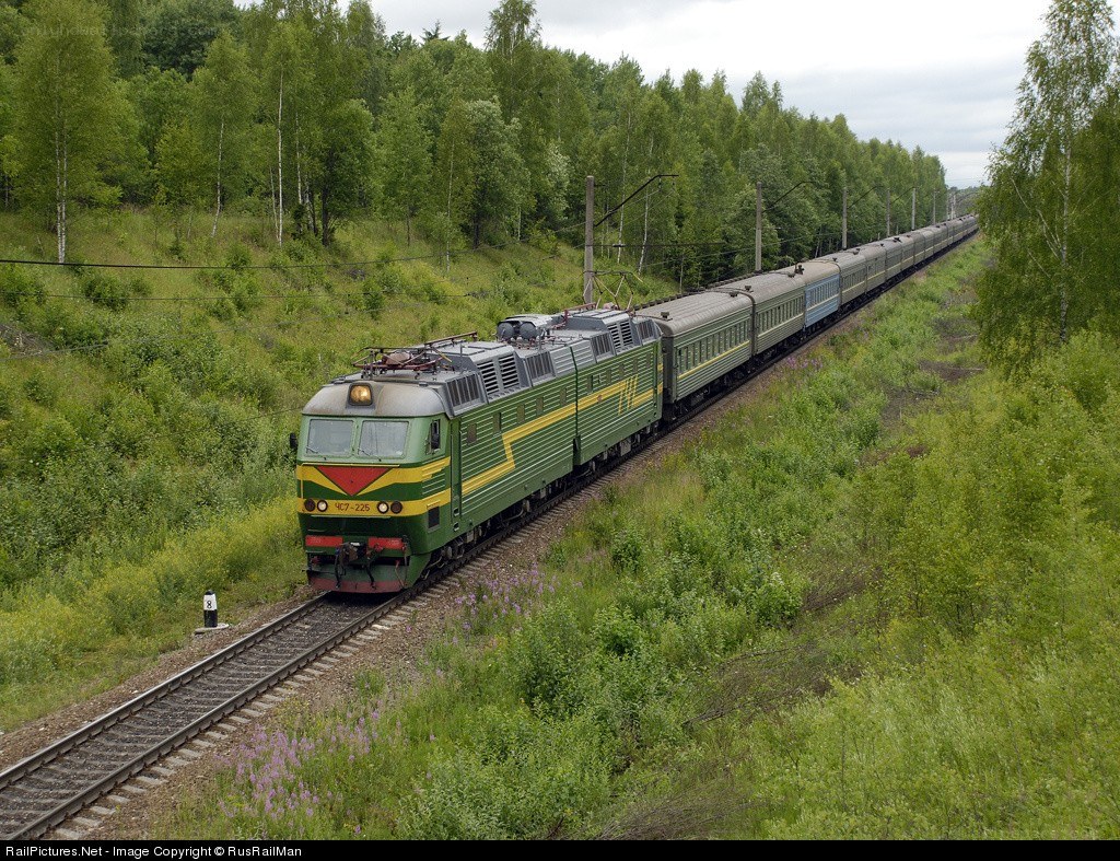 Green train in forest