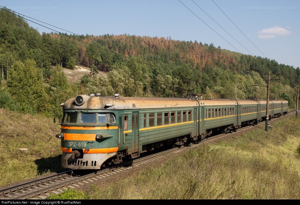Green train in forest