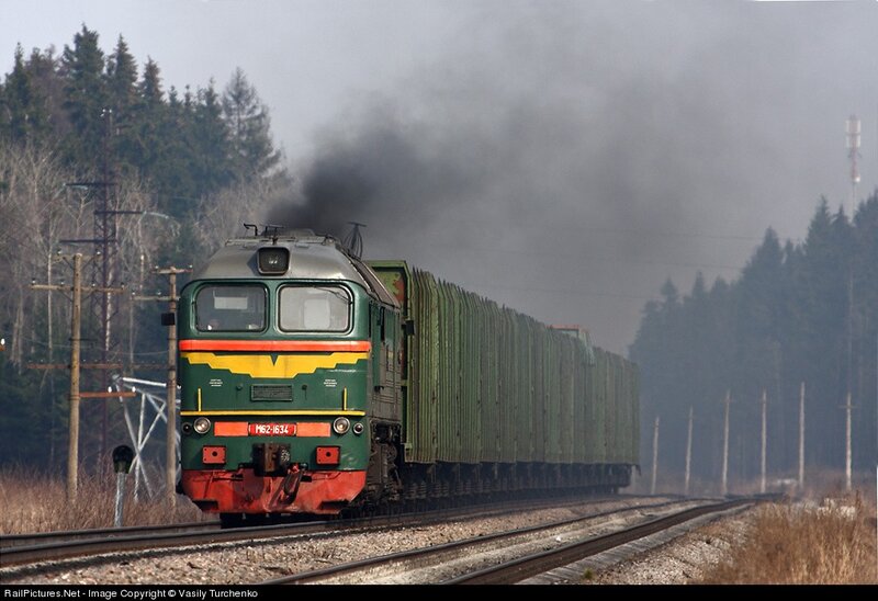 Green train in forest