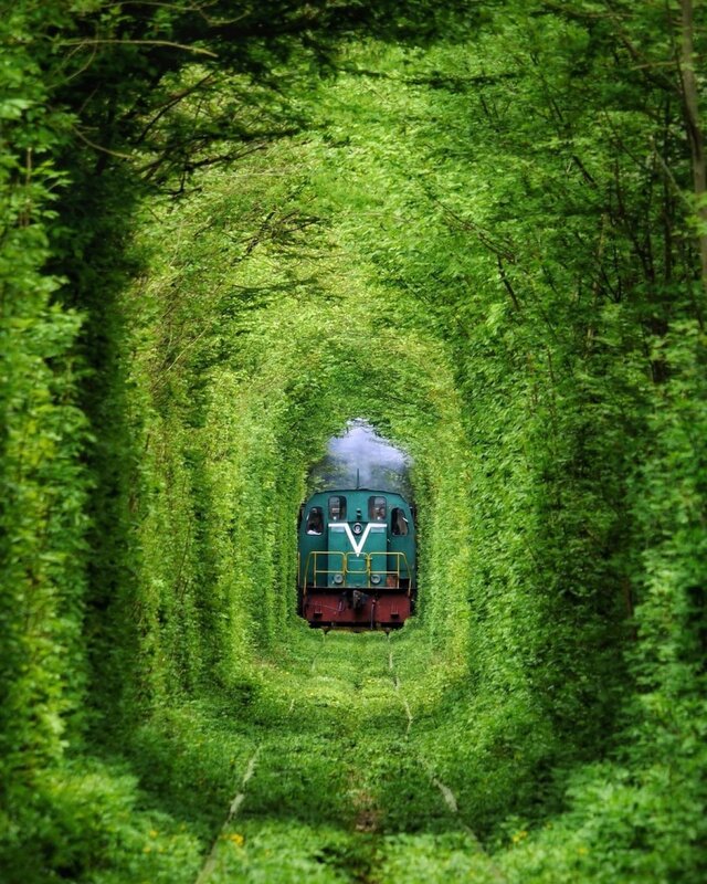 Green Train in Tunnel — Serene
