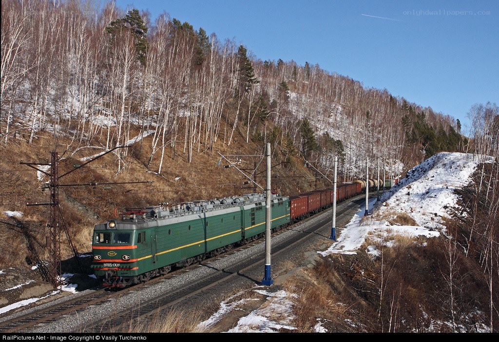 Green train in winter forest
