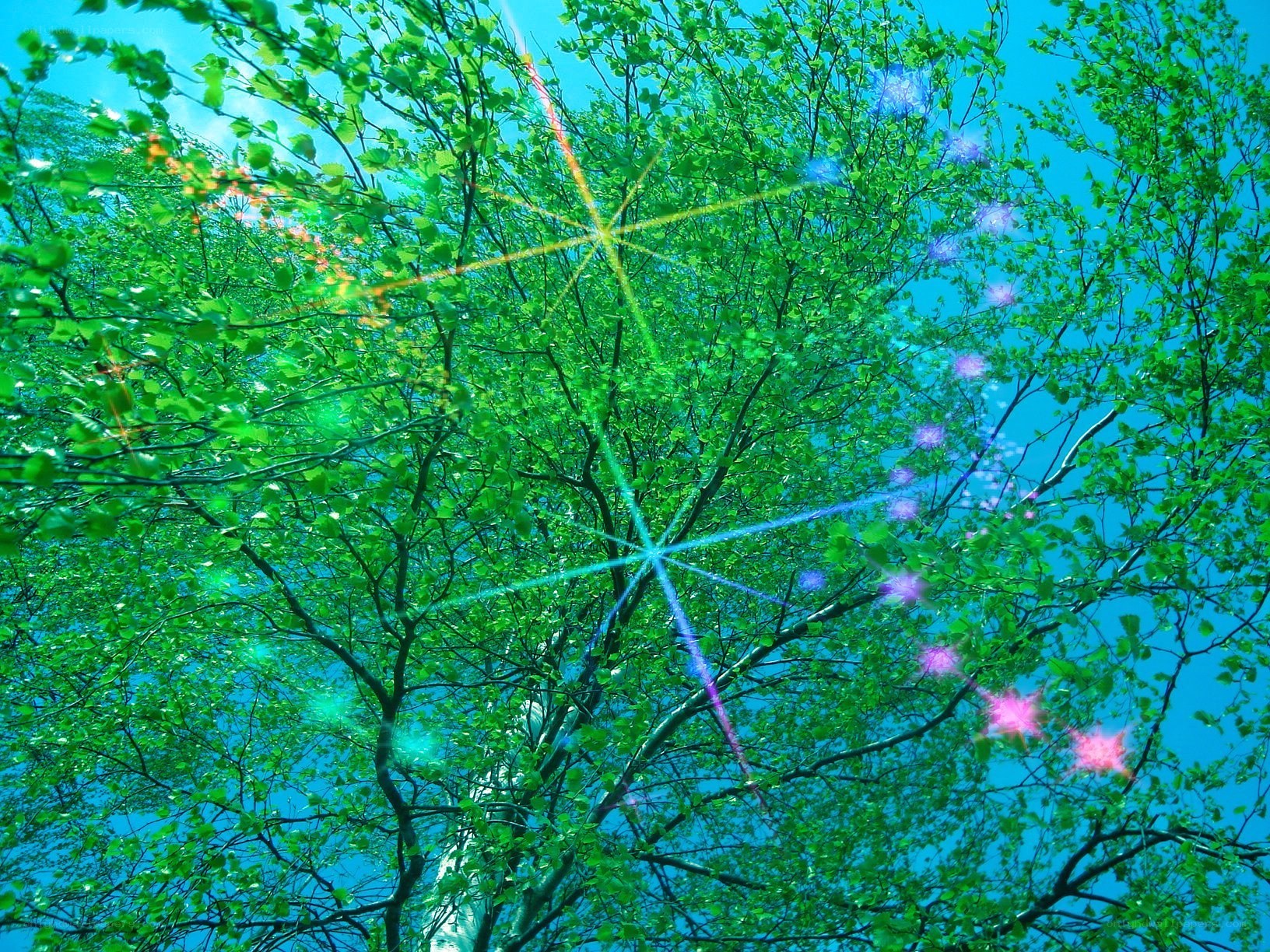 Green tree canopy with lens flares