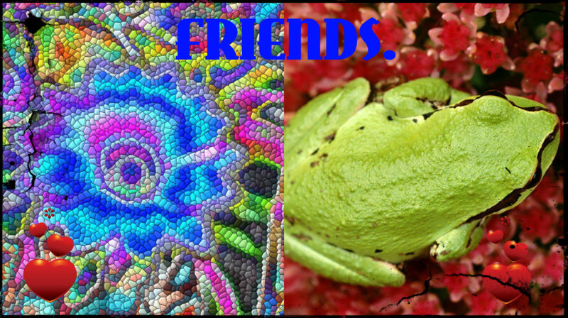 Green Tree Frog — Colorful