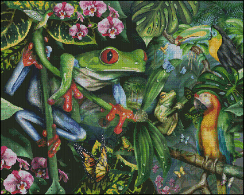 Green Tree Frog in Jungle