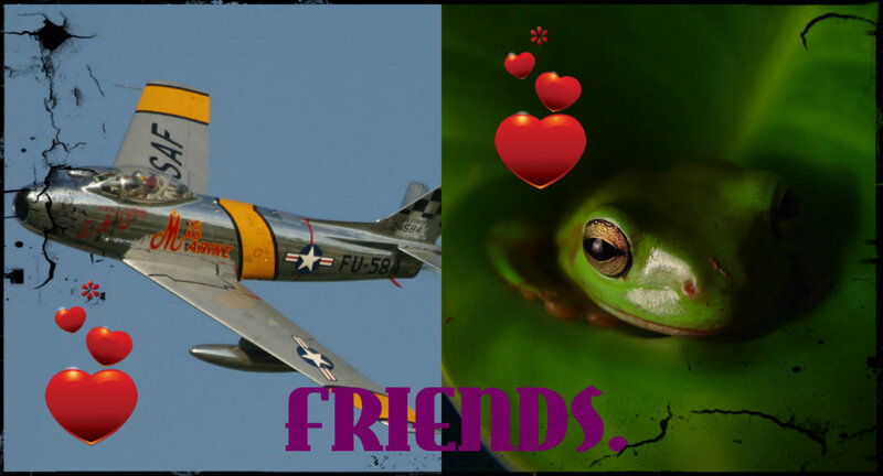 Green Tree Frog — Playful, Afternoon