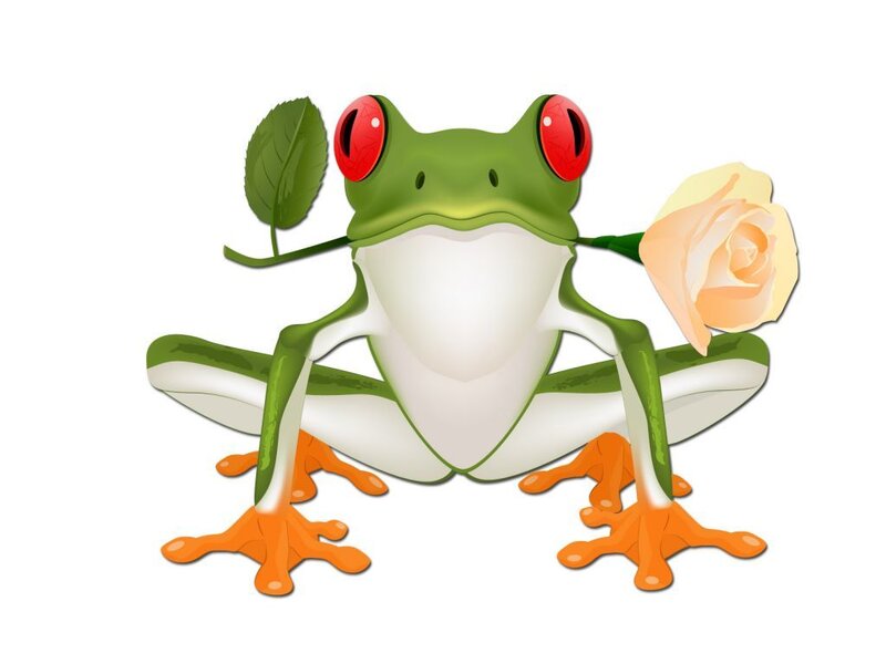 Green Tree Frog — Playful