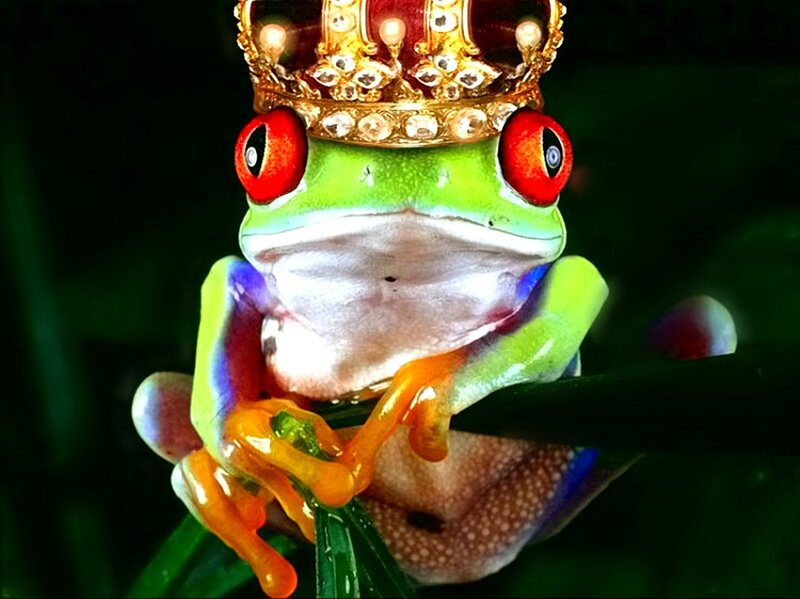 Green Tree Frog with Crown