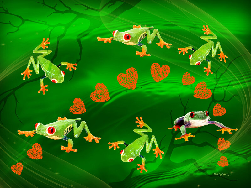 Green Tree Frogs — Playful