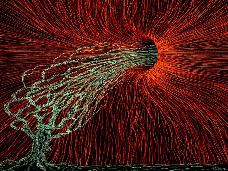 Green Tree in Red Vortex