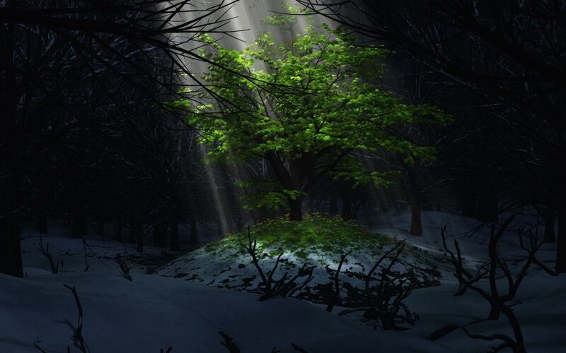 Green Tree in Snowy Forest