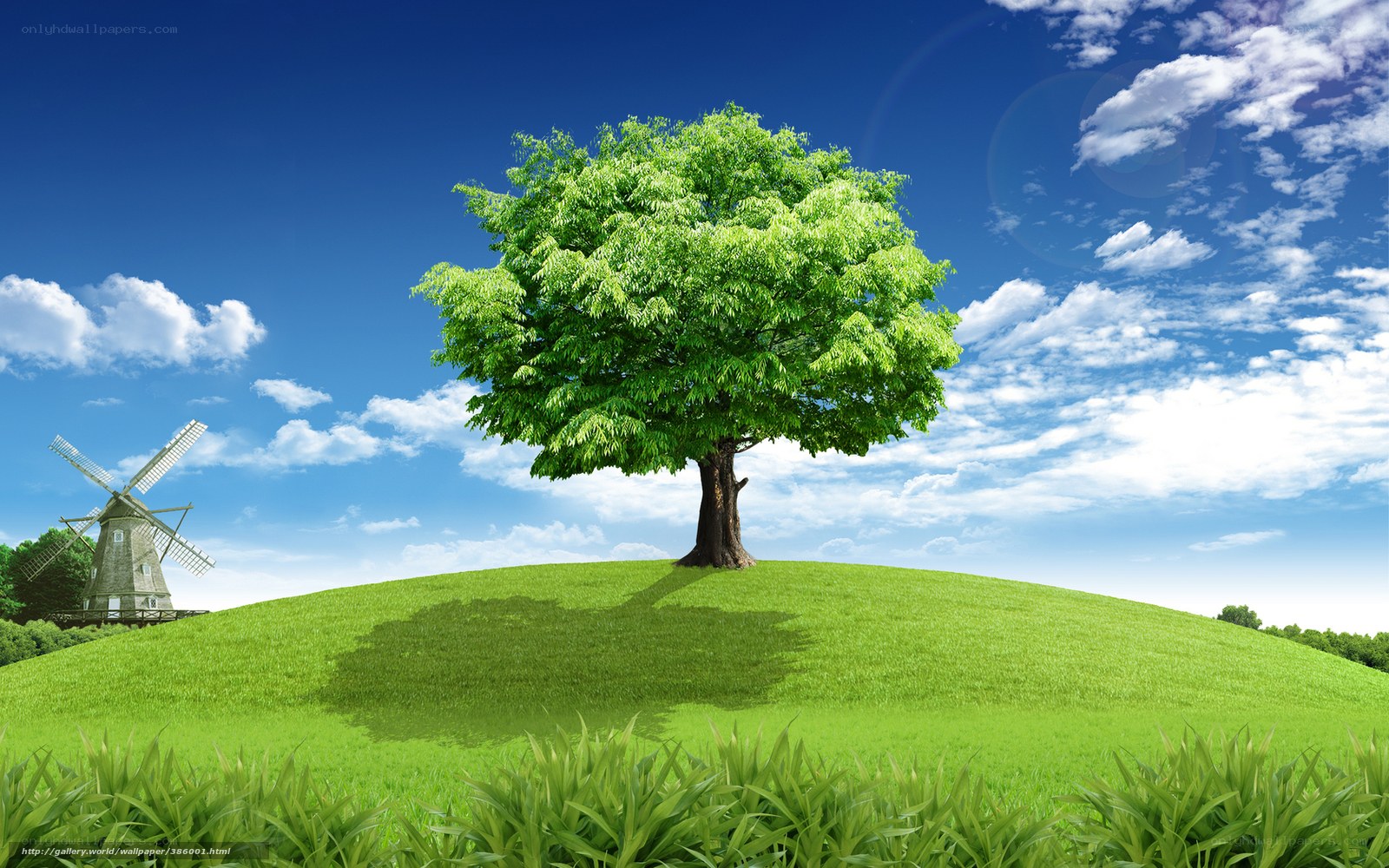 Green tree on a hill