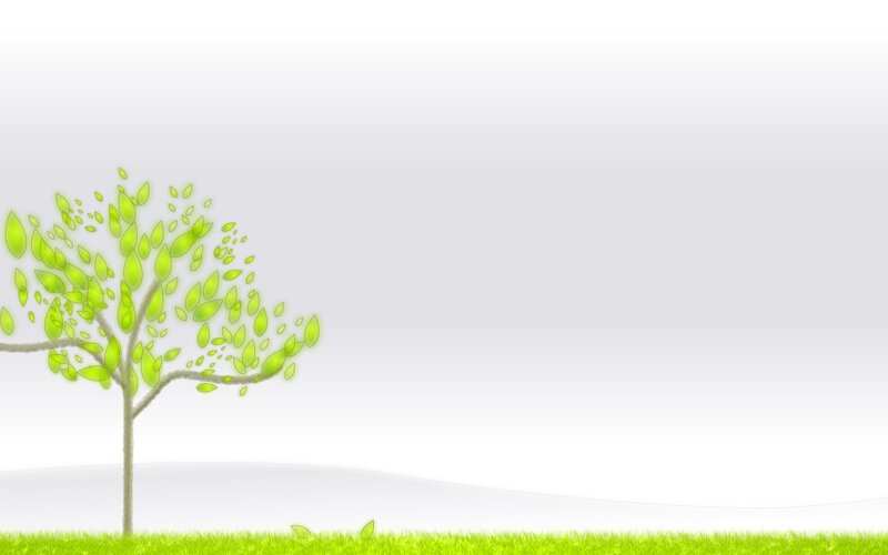 Green Tree on Grass