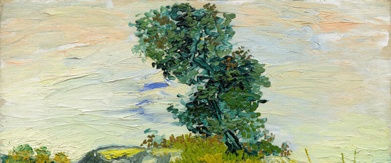 Green Tree on Hill — Calm