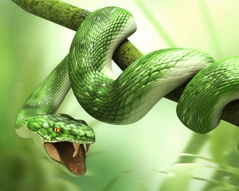 Green Tree Snake — Alert, Digital Art