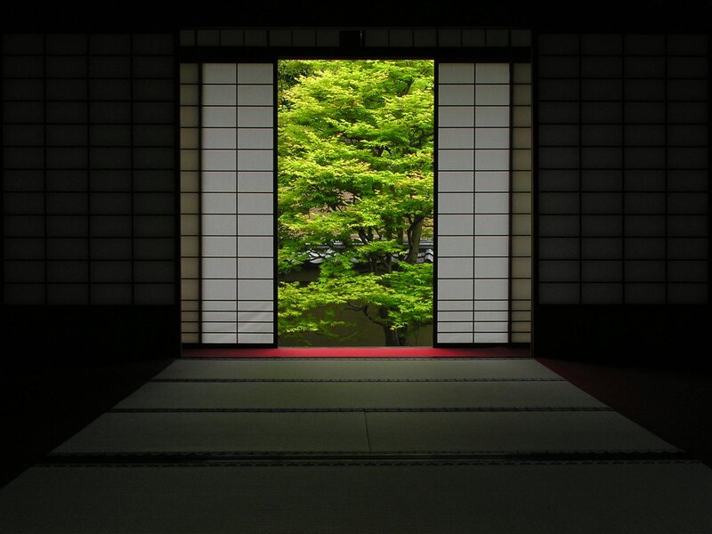 Green Tree Through Shoji Screen
