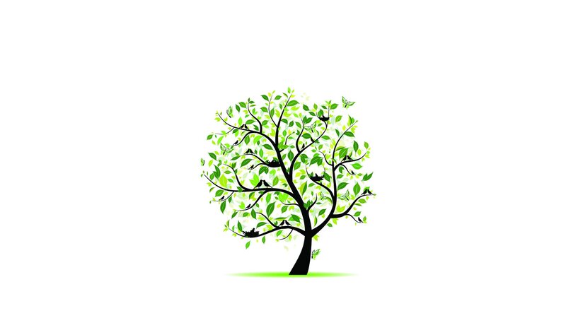 green tree with birds
