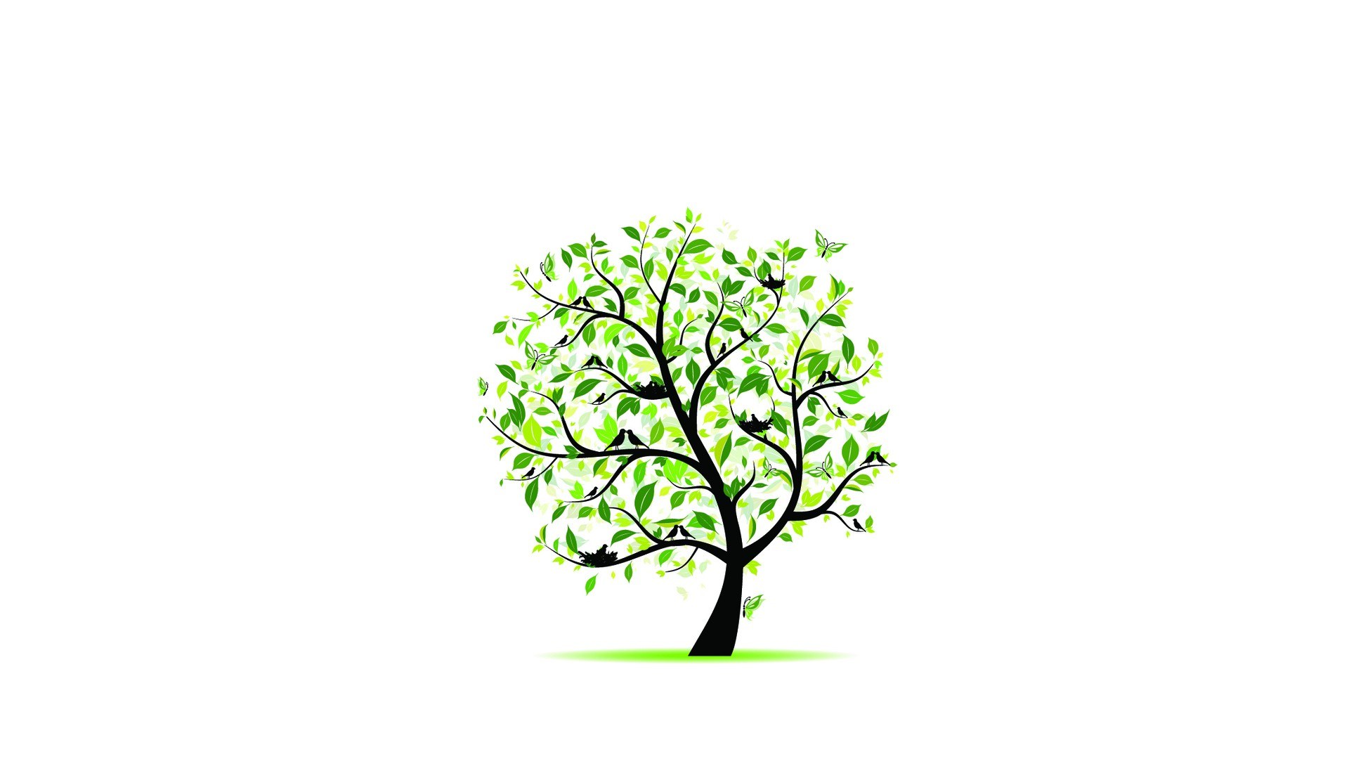 green tree with birds