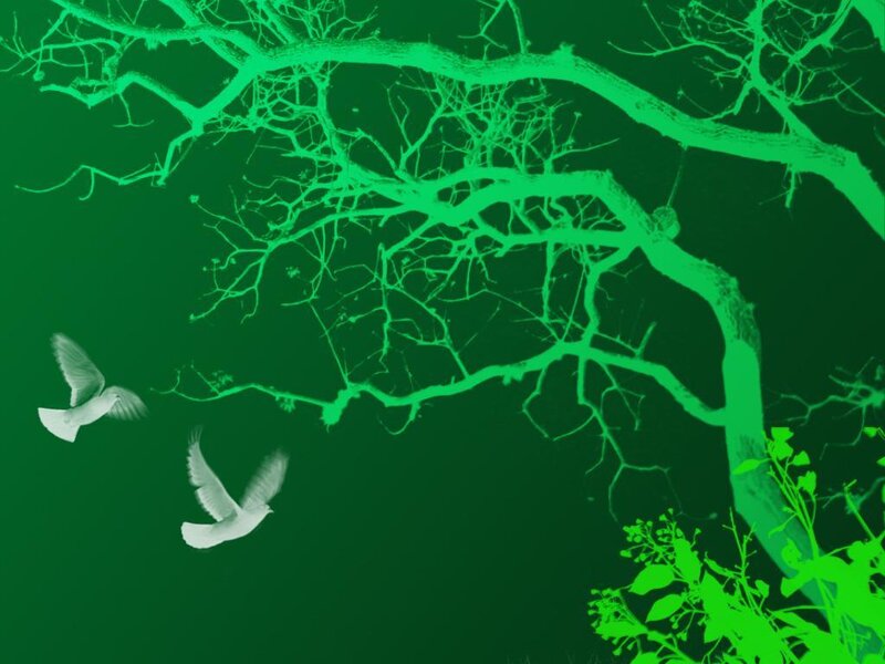 Green tree with flying birds
