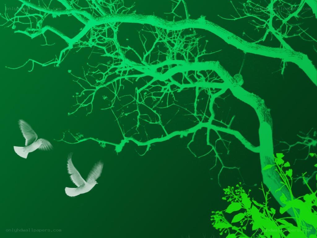 Green tree with flying birds