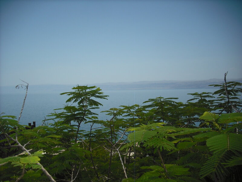 Green Trees by Lake — Blue