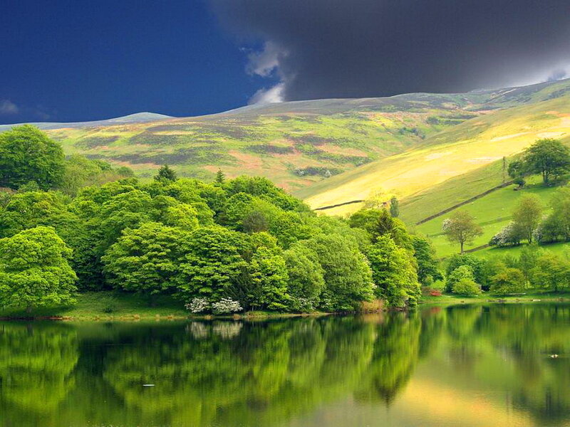 Green Trees by Lake — Dramatic, Afternoon, Photograph, Hills