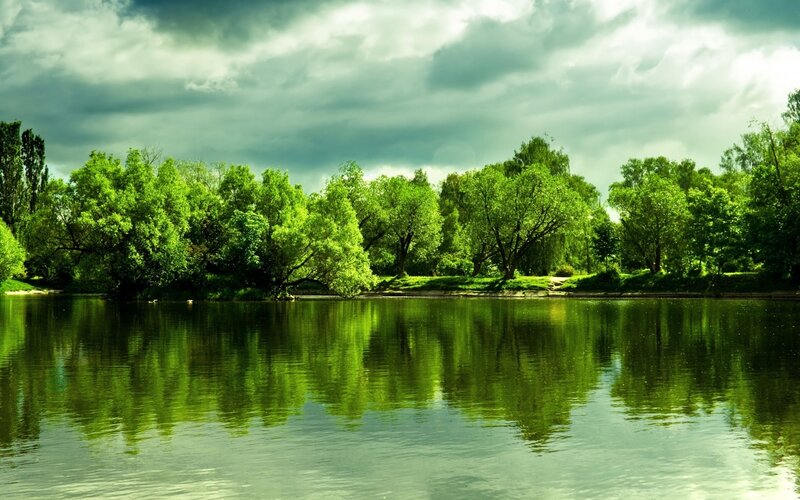 Green Trees by Lake — Dramatic, Afternoon